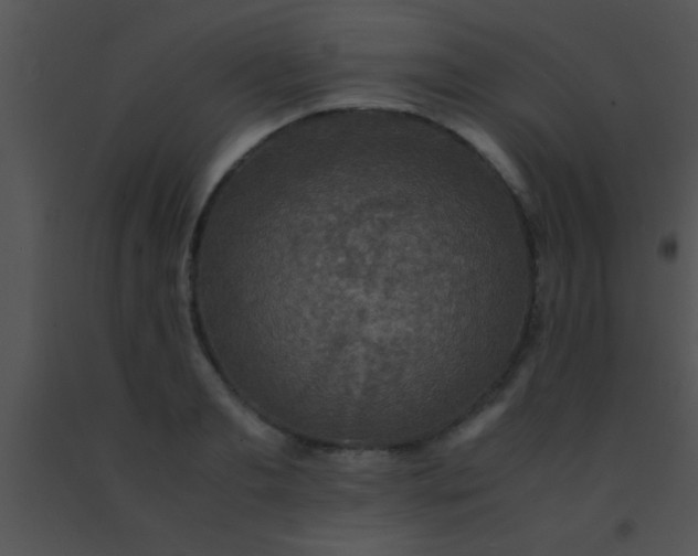 X0000091550893200708311352
