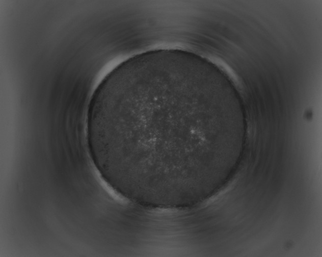 X0000091550894200708311352