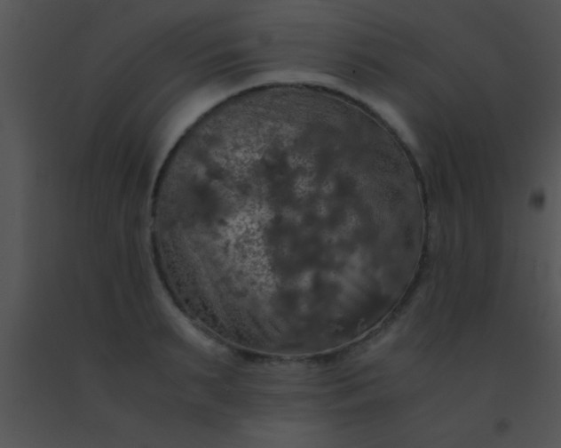 X0000091550895200708311352