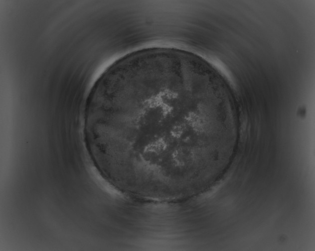 X0000091550896200708311351