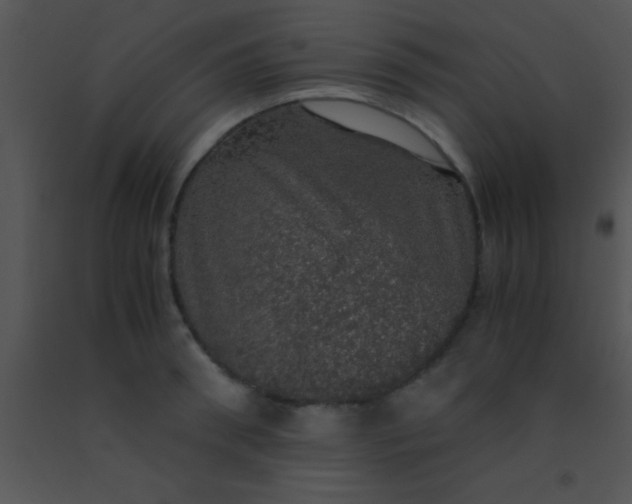 X0000091550898200708311351