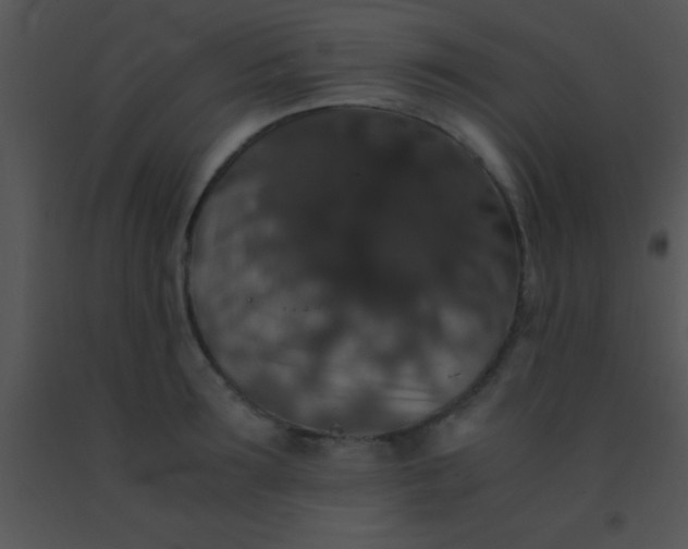 X0000091550899200708311351