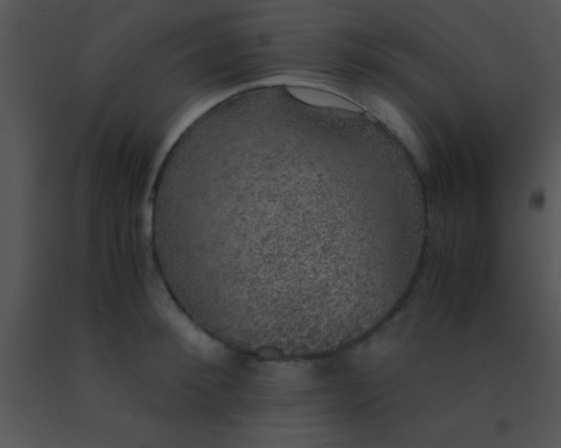 X0000091550900200708311351
