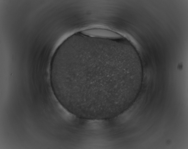 X0000091550902200708311351