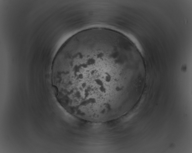 X0000091550903200708311351