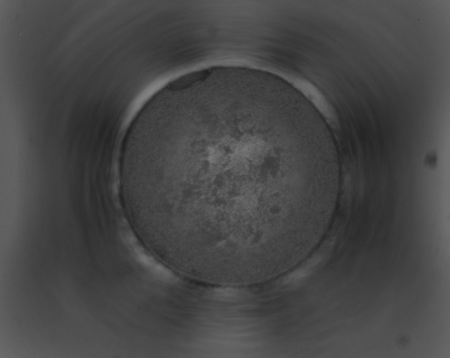 X0000091550904200708311351