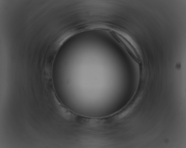 X0000091550905200708311351