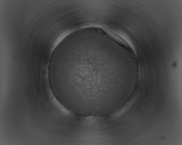 X0000091550906200708311351
