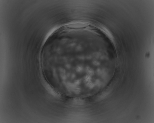 X0000091550907200708311351