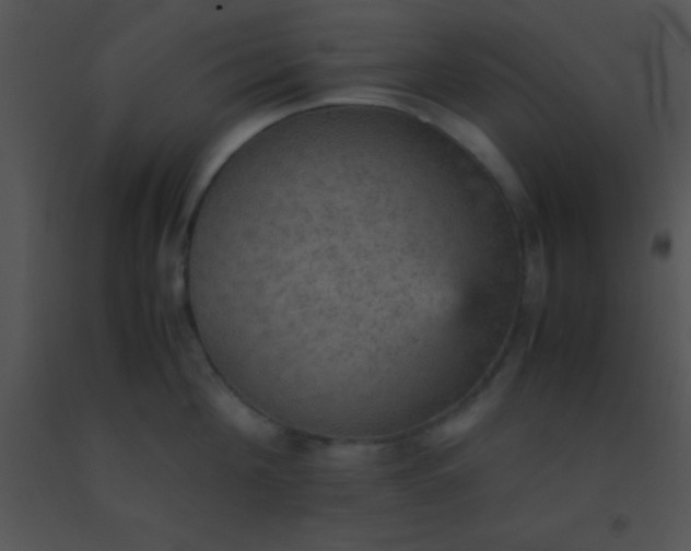 X0000091550908200708311351