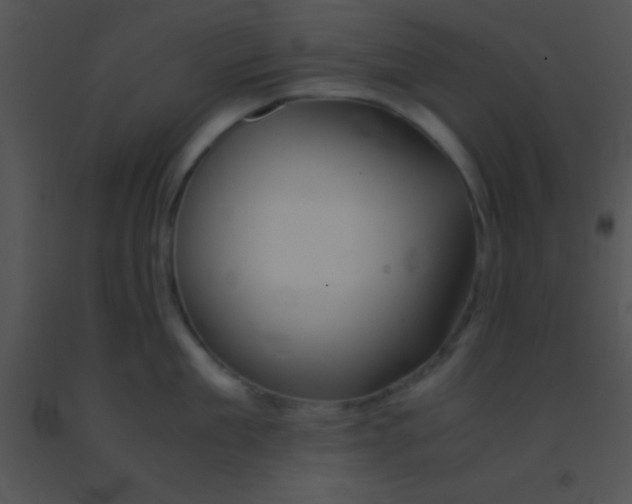 X0000091550909200708311351