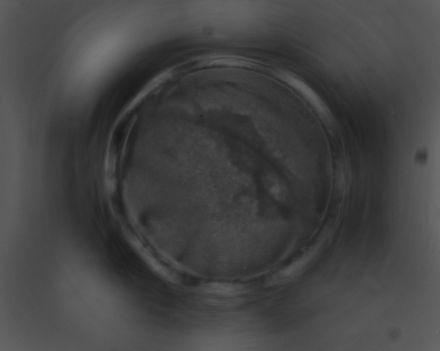X0000091550910200708311351