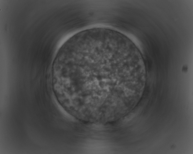 X0000091550911200708311351