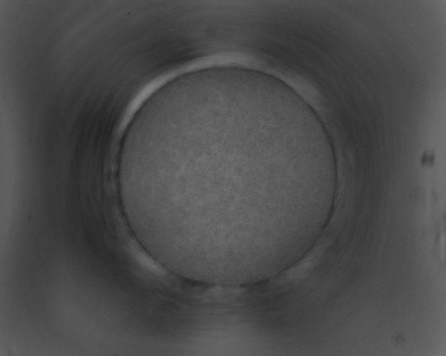 X0000091550912200708311351