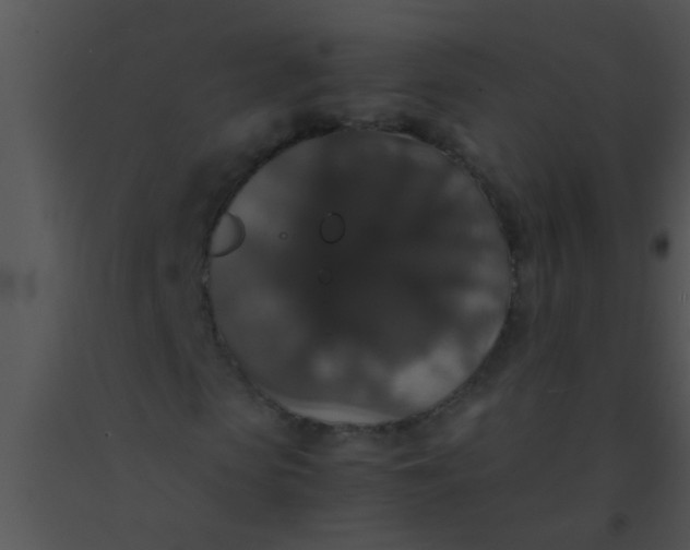 X0000091550913200708311351
