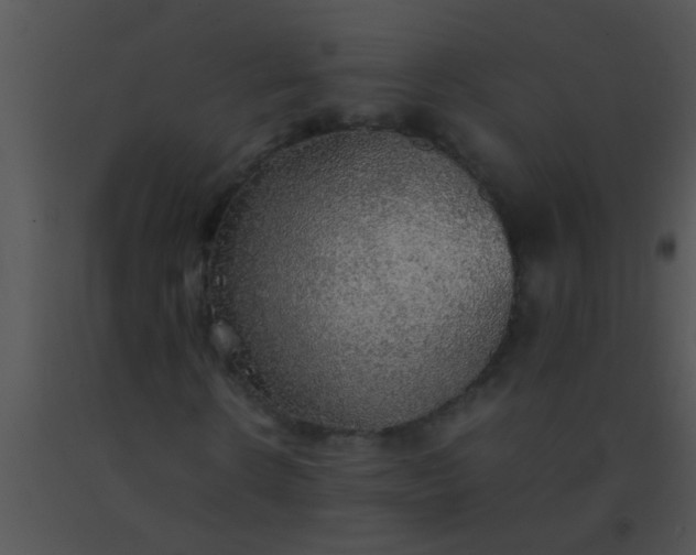 X0000091550914200708311351