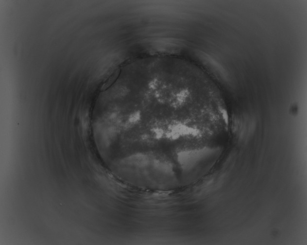 X0000091550915200708311351