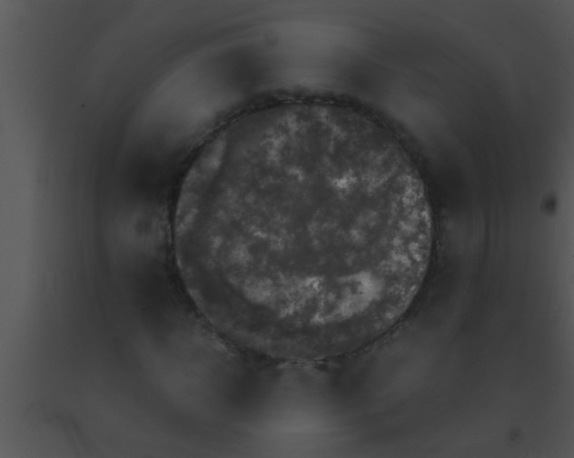 X0000091550918200708311351