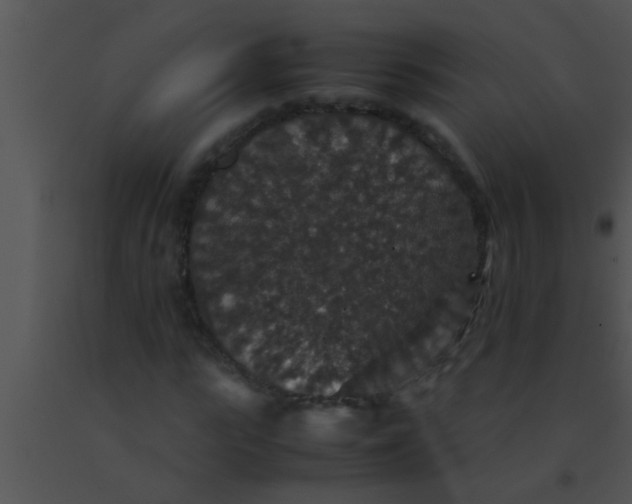 X0000091550919200708311351