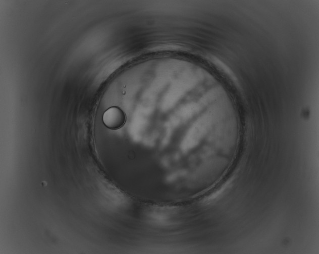 X0000091550921200708311351