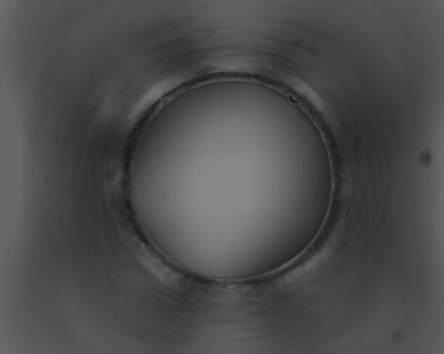 X0000091550922200708311351
