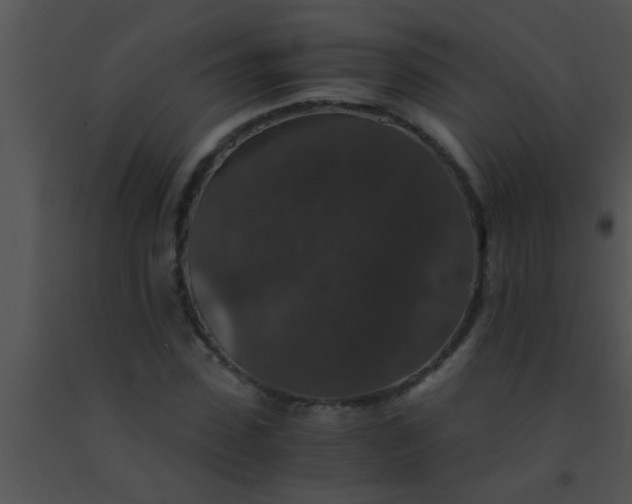 X0000091550923200708311351