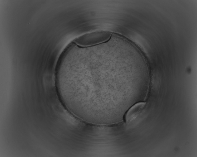 X0000091550924200708311351