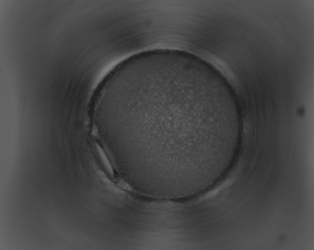 X0000091550926200708311351