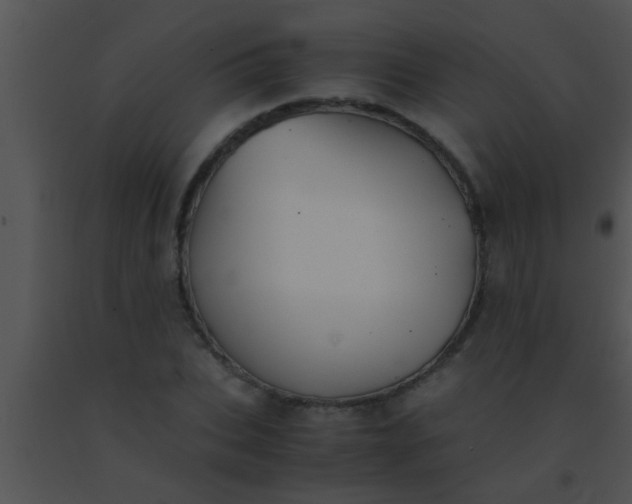 X0000091550927200708311351
