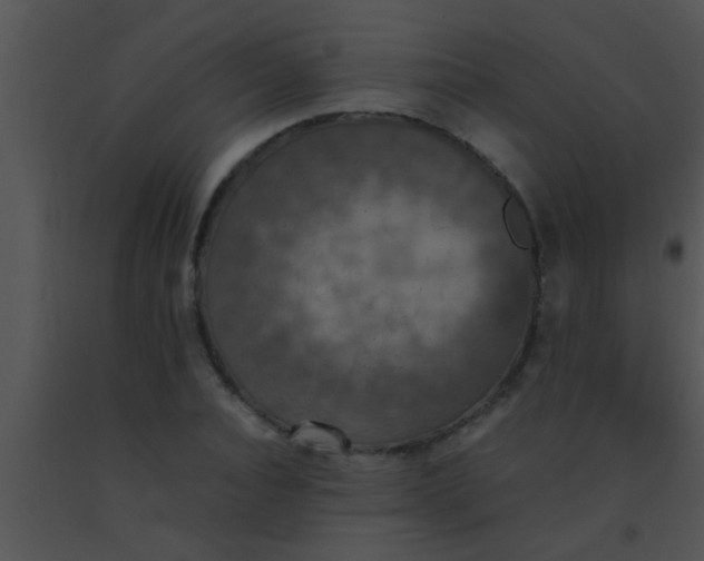 X0000091550928200708311351
