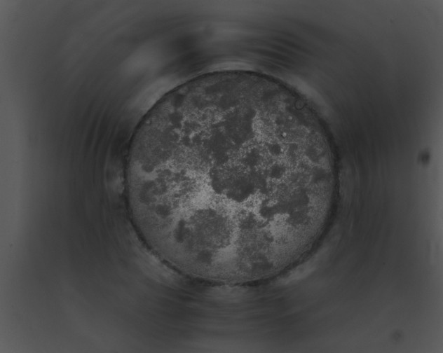 X0000091550929200708311351