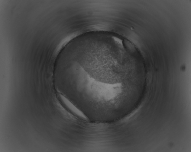 X0000091550930200708311351