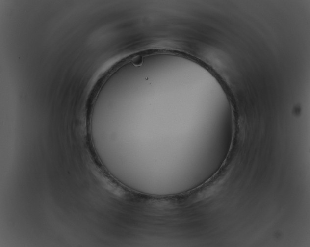 X0000091550931200708311351