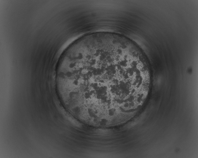 X0000091550933200708311351