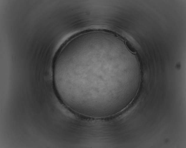 X0000091550934200708311351