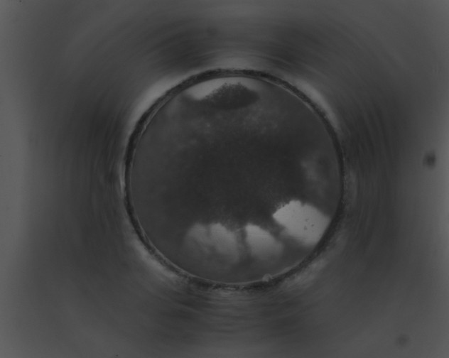 X0000091550935200708311351