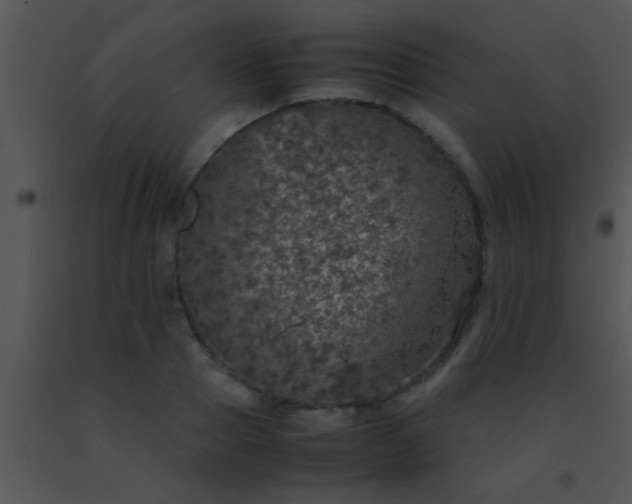 X0000091550937200708311351