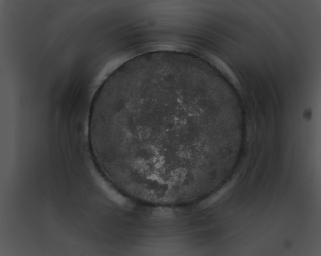 X0000091550938200708311351