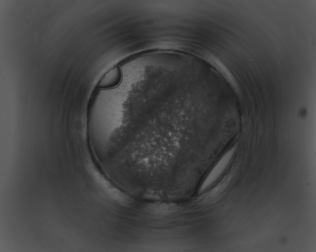 X0000091550939200708311351