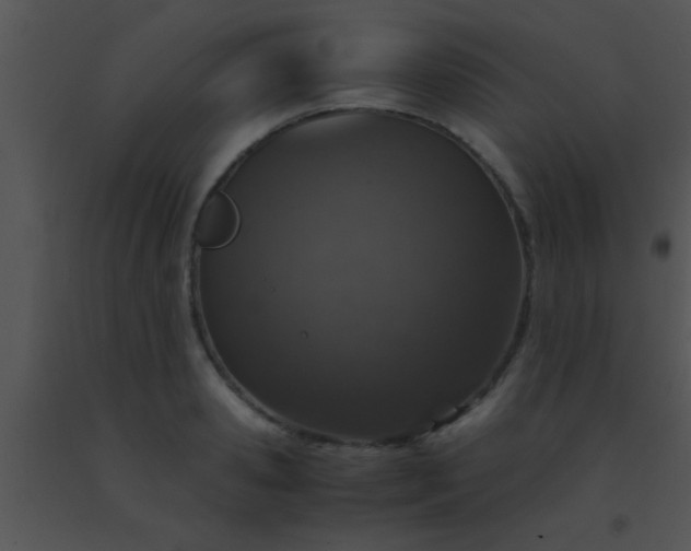 X0000091550941200708311351