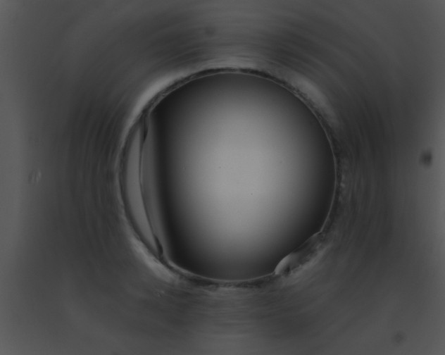 X0000091550942200708311351