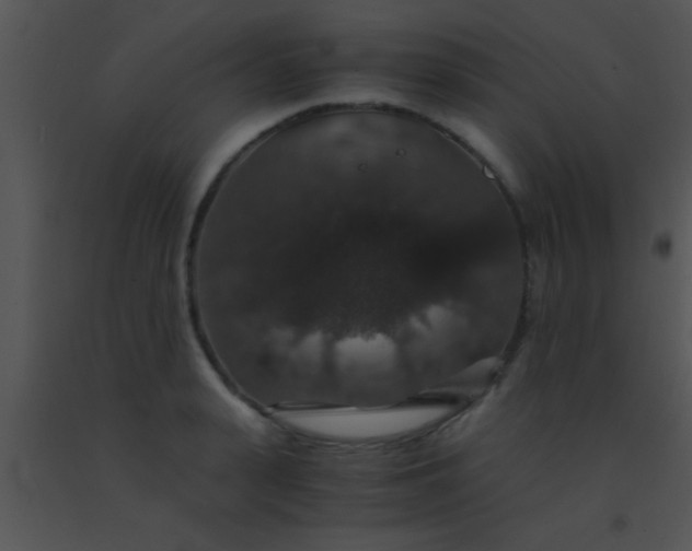 X0000091550943200708311351