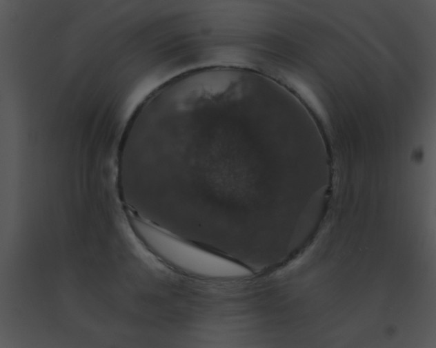 X0000091550944200708311351