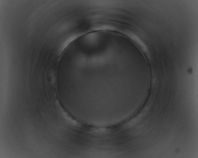 X0000091550945200708311351