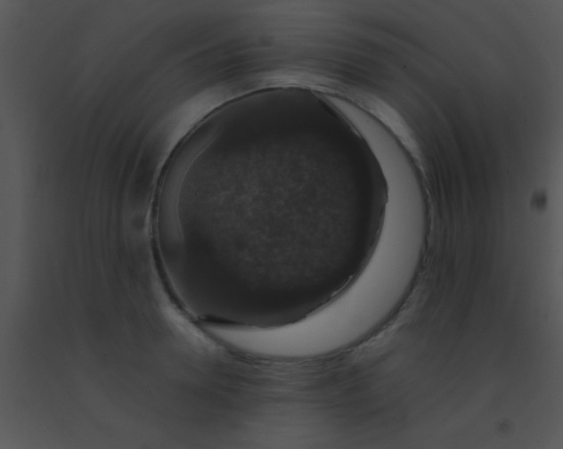X0000091550946200708311351
