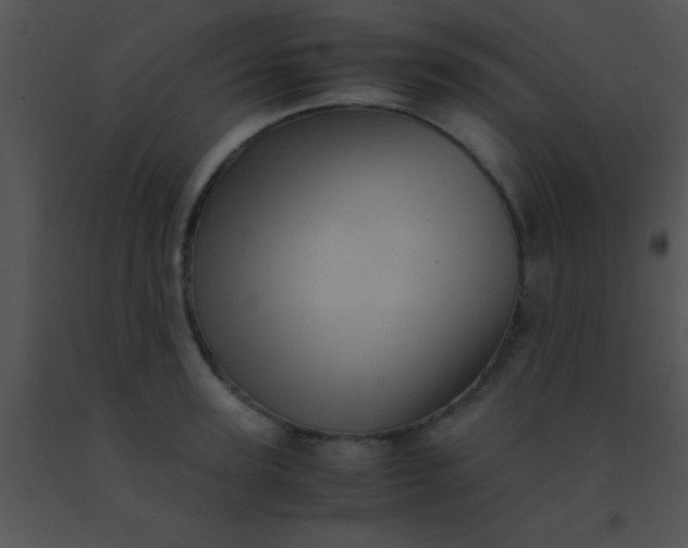 X0000091550947200708311351