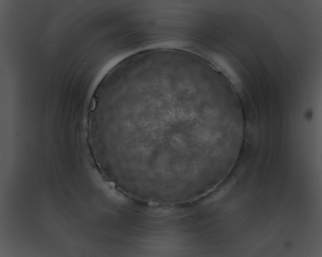 X0000091550948200708311351