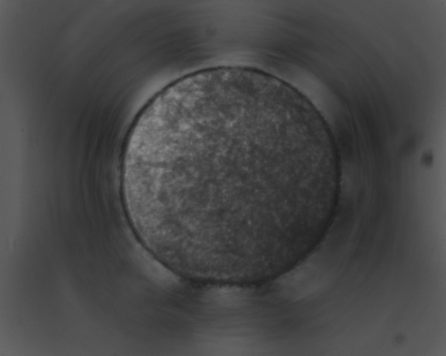 X0000091550950200708311351