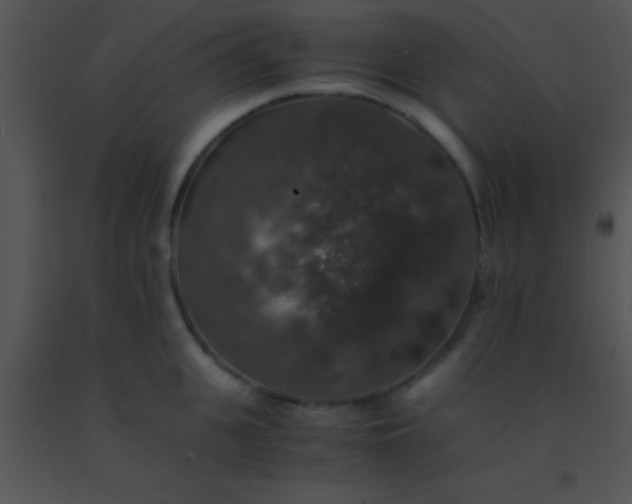 X0000091550951200708311351