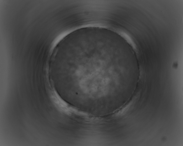 X0000091550952200708311351